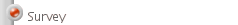 Survey